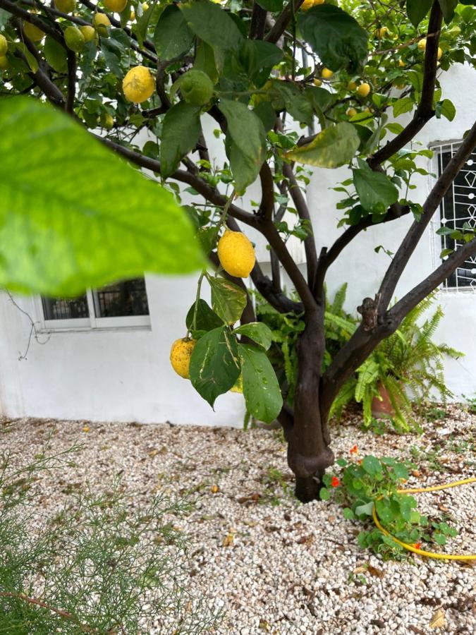 Avra House Villa Limassol Luaran gambar